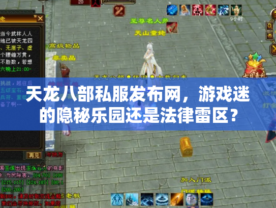 天龙八部私服发布网，游戏迷的隐秘乐园还是法律雷区？