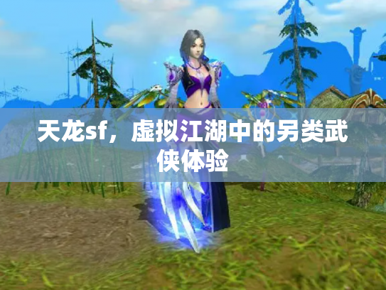 天龙sf，虚拟江湖中的另类武侠体验