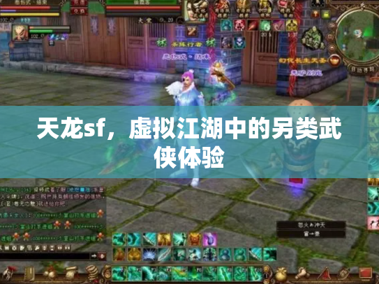 天龙sf，虚拟江湖中的另类武侠体验