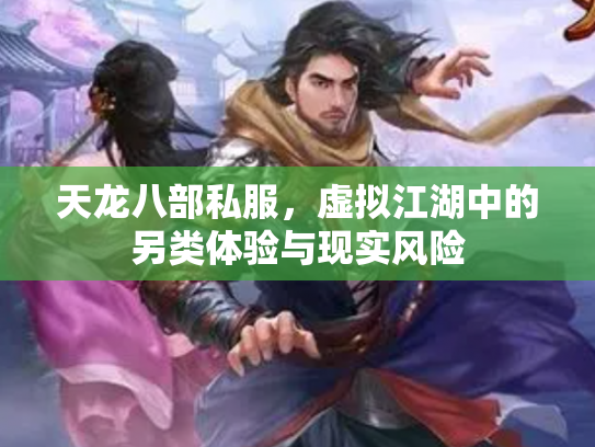 天龙八部私服，虚拟江湖中的另类体验与现实风险