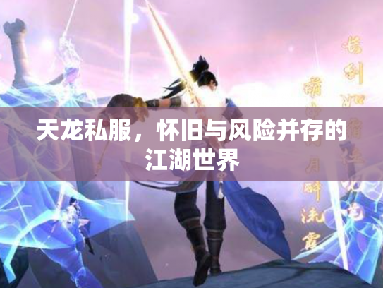 天龙私服，怀旧与风险并存的江湖世界
