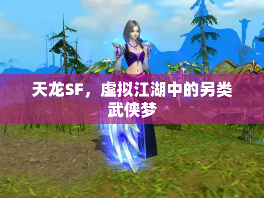 天龙SF，虚拟江湖中的另类武侠梦