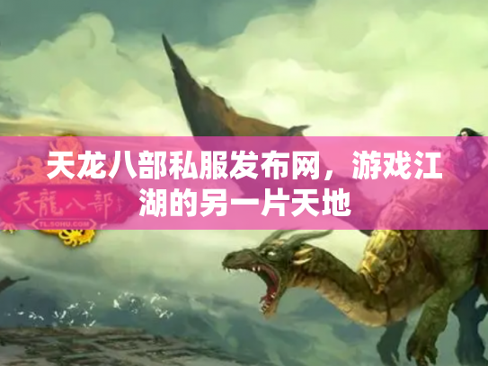 天龙八部私服发布网，游戏江湖的另一片天地