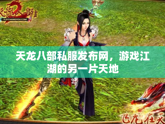 天龙八部私服发布网，游戏江湖的另一片天地