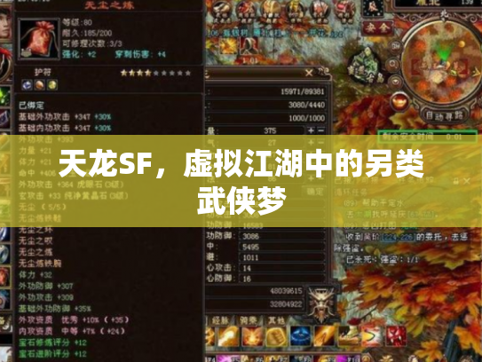 天龙SF，虚拟江湖中的另类武侠梦