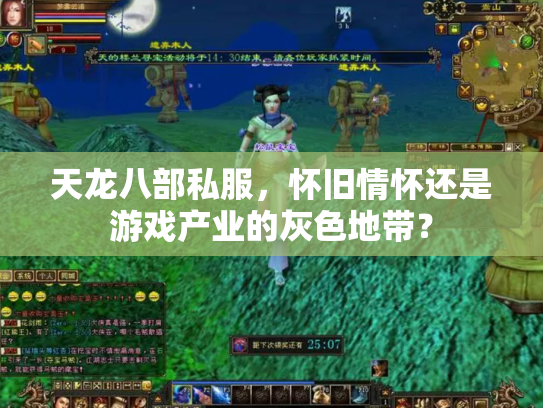 天龙八部私服，怀旧情怀还是游戏产业的灰色地带？