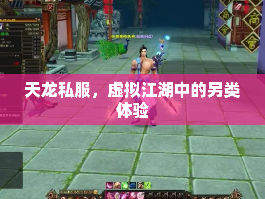 天龙私服，虚拟江湖中的另类体验