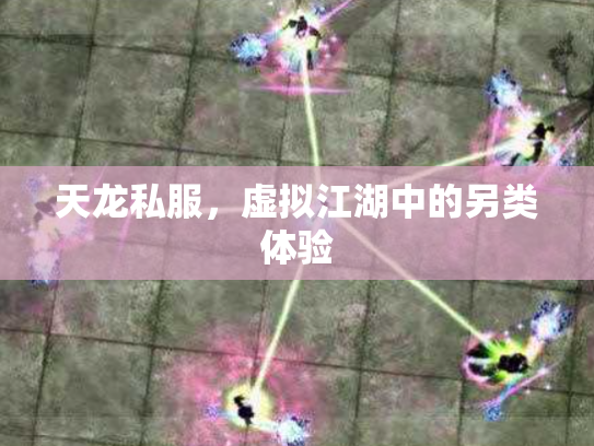 天龙私服，虚拟江湖中的另类体验