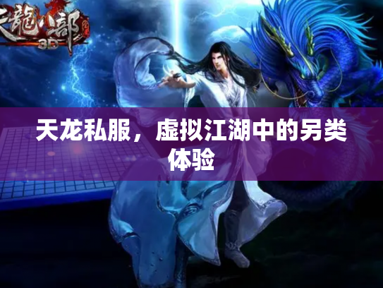 天龙私服，虚拟江湖中的另类体验