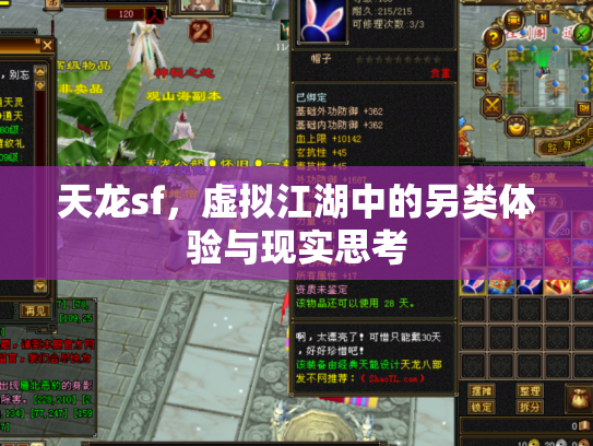 天龙sf，虚拟江湖中的另类体验与现实思考