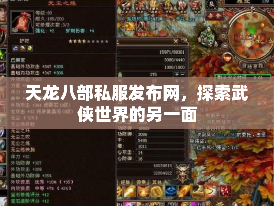 天龙八部私服发布网，探索武侠世界的另一面