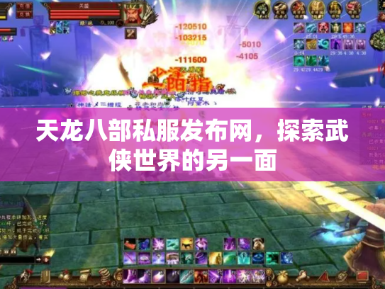 天龙八部私服发布网，探索武侠世界的另一面