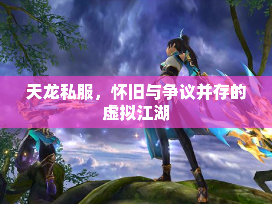 天龙私服，怀旧与争议并存的虚拟江湖