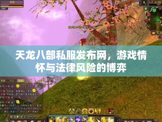 天龙八部私服发布网，游戏情怀与法律风险的博弈