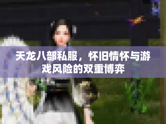 天龙八部私服，怀旧情怀与游戏风险的双重博弈