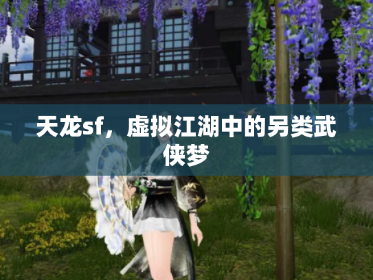 天龙sf，虚拟江湖中的另类武侠梦