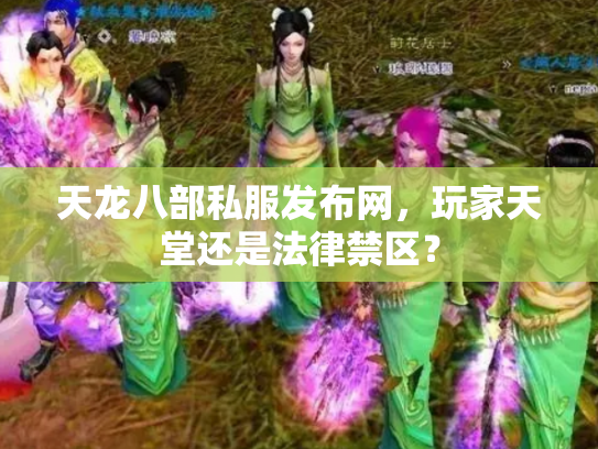 天龙八部私服发布网，玩家天堂还是法律禁区？