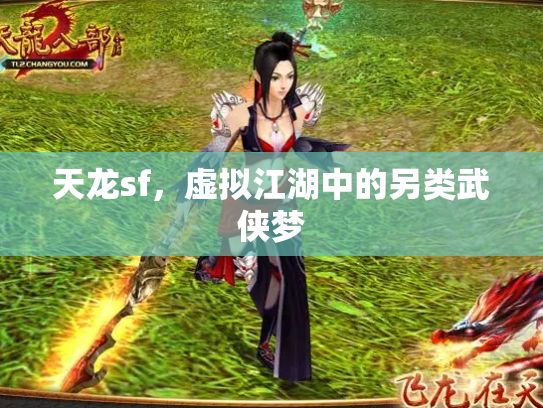 天龙sf，虚拟江湖中的另类武侠梦