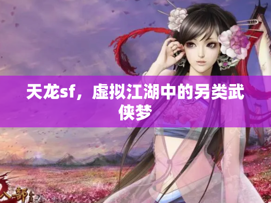 天龙sf，虚拟江湖中的另类武侠梦