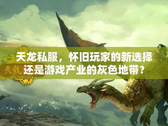 天龙私服，怀旧玩家的新选择还是游戏产业的灰色地带？