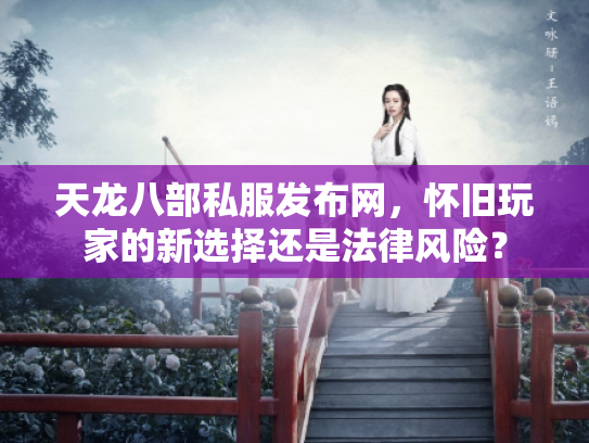 天龙八部私服发布网，怀旧玩家的新选择还是法律风险？