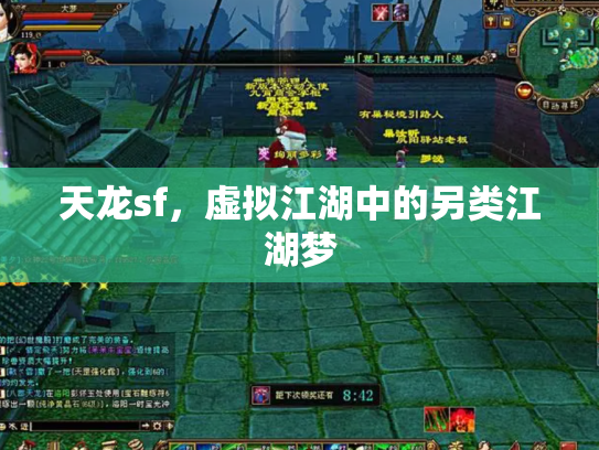 天龙sf，虚拟江湖中的另类江湖梦