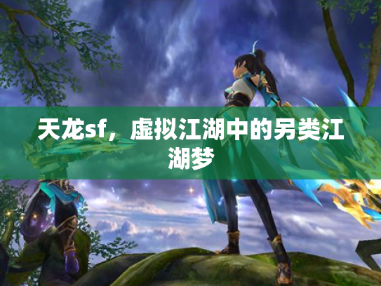 天龙sf，虚拟江湖中的另类江湖梦