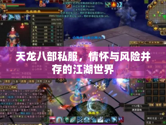 天龙八部私服，情怀与风险并存的江湖世界