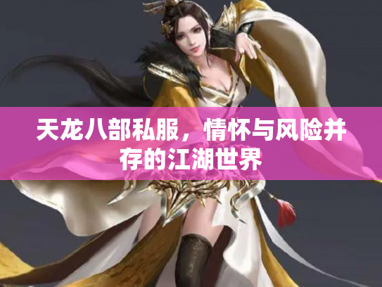天龙八部私服，情怀与风险并存的江湖世界