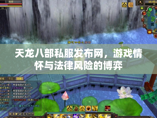 天龙八部私服发布网，游戏情怀与法律风险的博弈