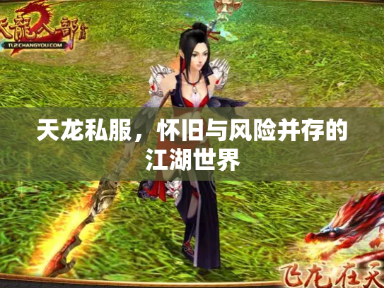 天龙私服，怀旧与风险并存的江湖世界