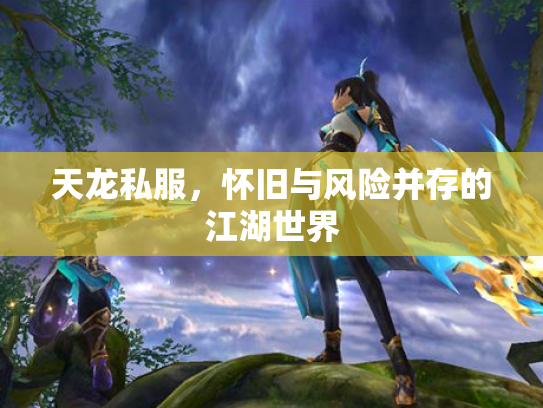 天龙私服，怀旧与风险并存的江湖世界