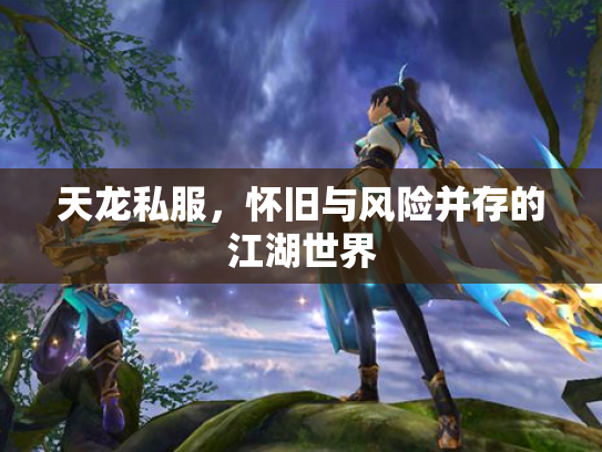 天龙私服，怀旧与风险并存的江湖世界