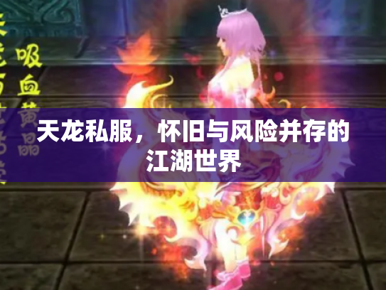 天龙私服，怀旧与风险并存的江湖世界