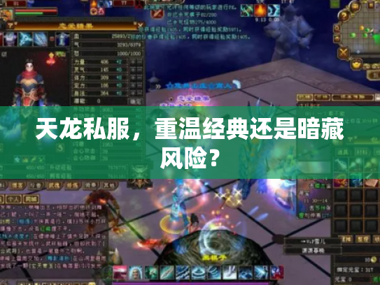 天龙私服，重温经典还是暗藏风险？