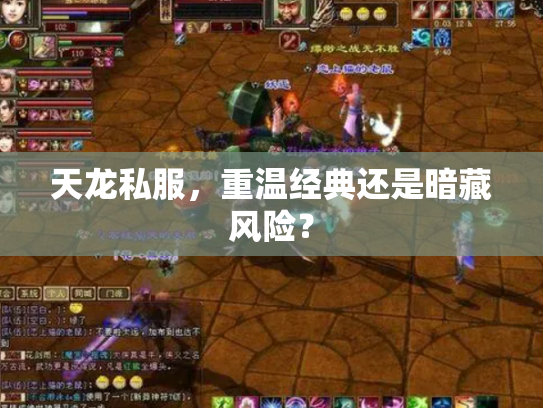 天龙私服，重温经典还是暗藏风险？