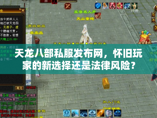 天龙八部私服发布网，怀旧玩家的新选择还是法律风险？