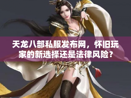 天龙八部私服发布网，怀旧玩家的新选择还是法律风险？