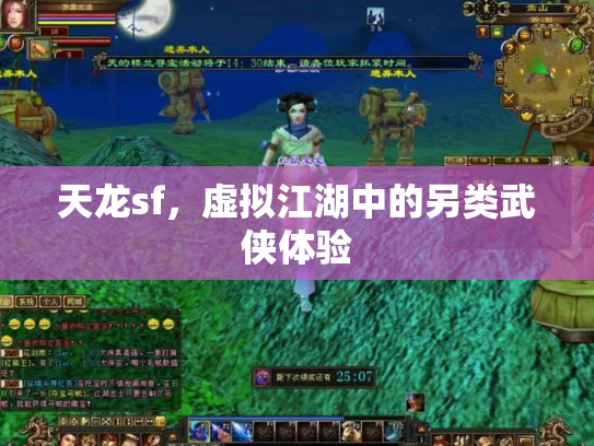 天龙sf，虚拟江湖中的另类武侠体验
