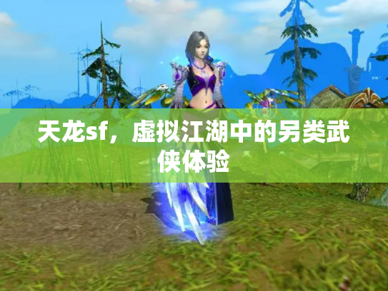 天龙sf，虚拟江湖中的另类武侠体验