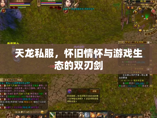天龙私服，怀旧情怀与游戏生态的双刃剑