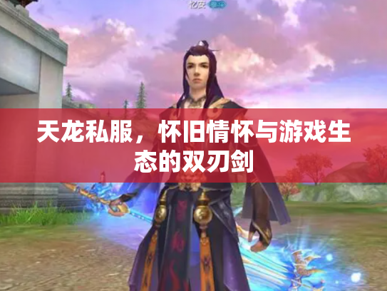 天龙私服，怀旧情怀与游戏生态的双刃剑