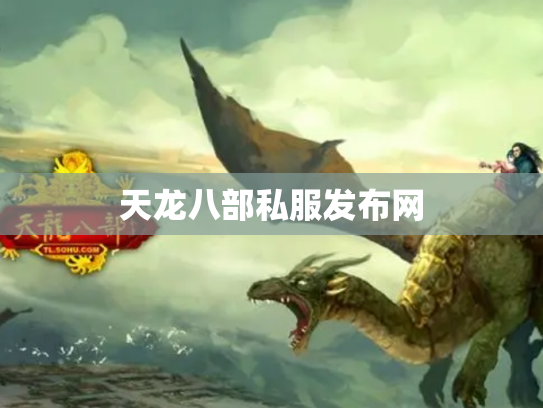 天龙八部私服发布网