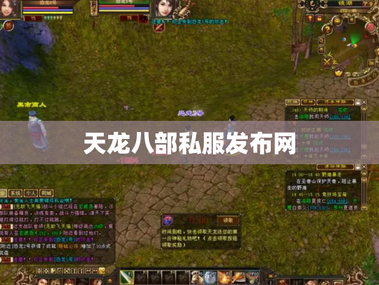 天龙八部私服发布网