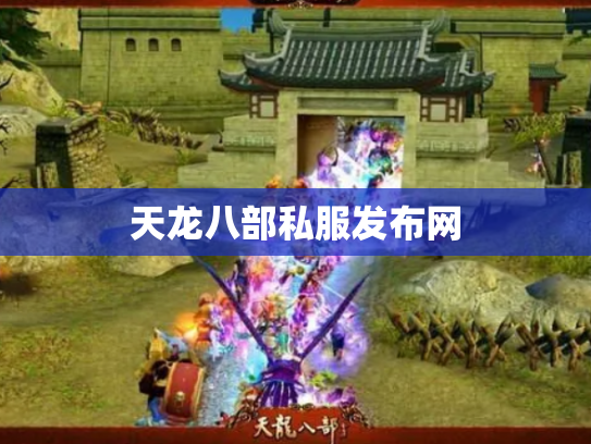 天龙八部私服发布网