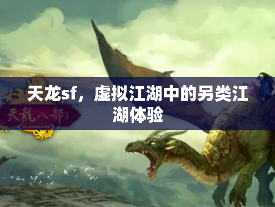 天龙sf，虚拟江湖中的另类江湖体验