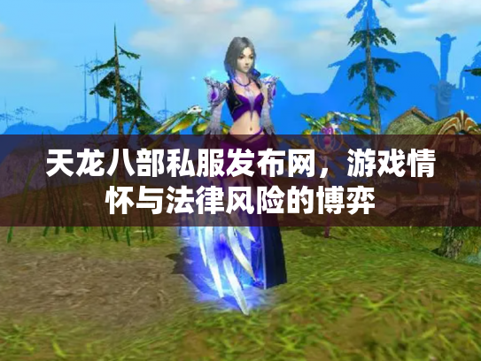 天龙八部私服发布网，游戏情怀与法律风险的博弈
