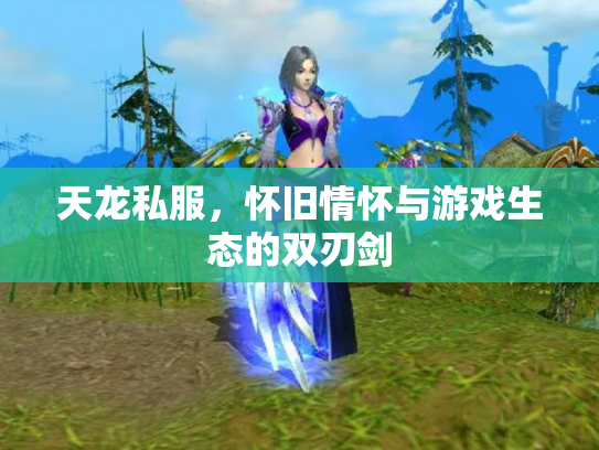 天龙私服，怀旧情怀与游戏生态的双刃剑
