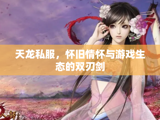 天龙私服，怀旧情怀与游戏生态的双刃剑