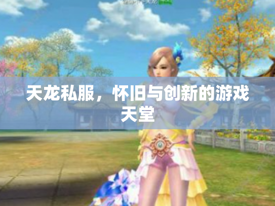 天龙私服，怀旧与创新的游戏天堂